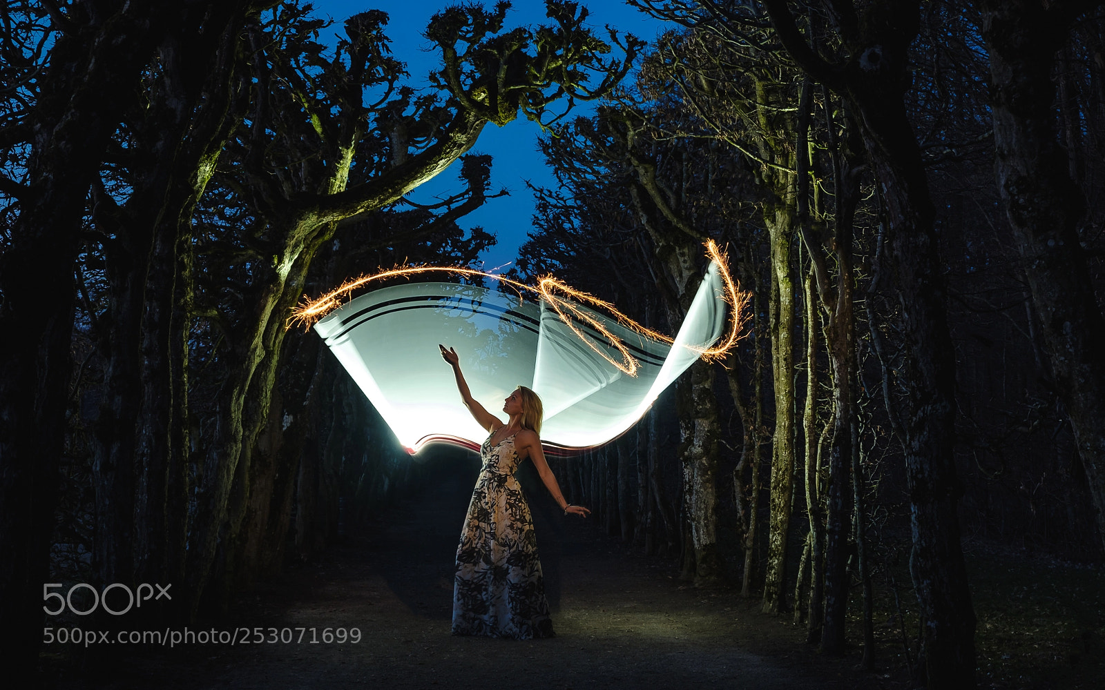 Fujifilm X-T2 sample photo. Alice in wonderland photography