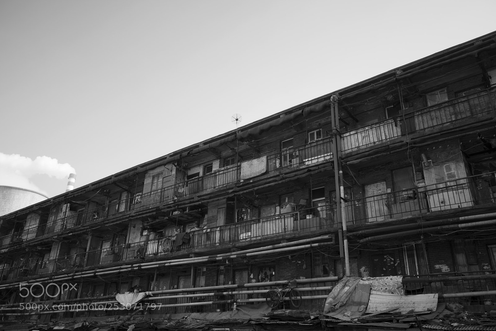 Nikon D810 sample photo. Survival photography