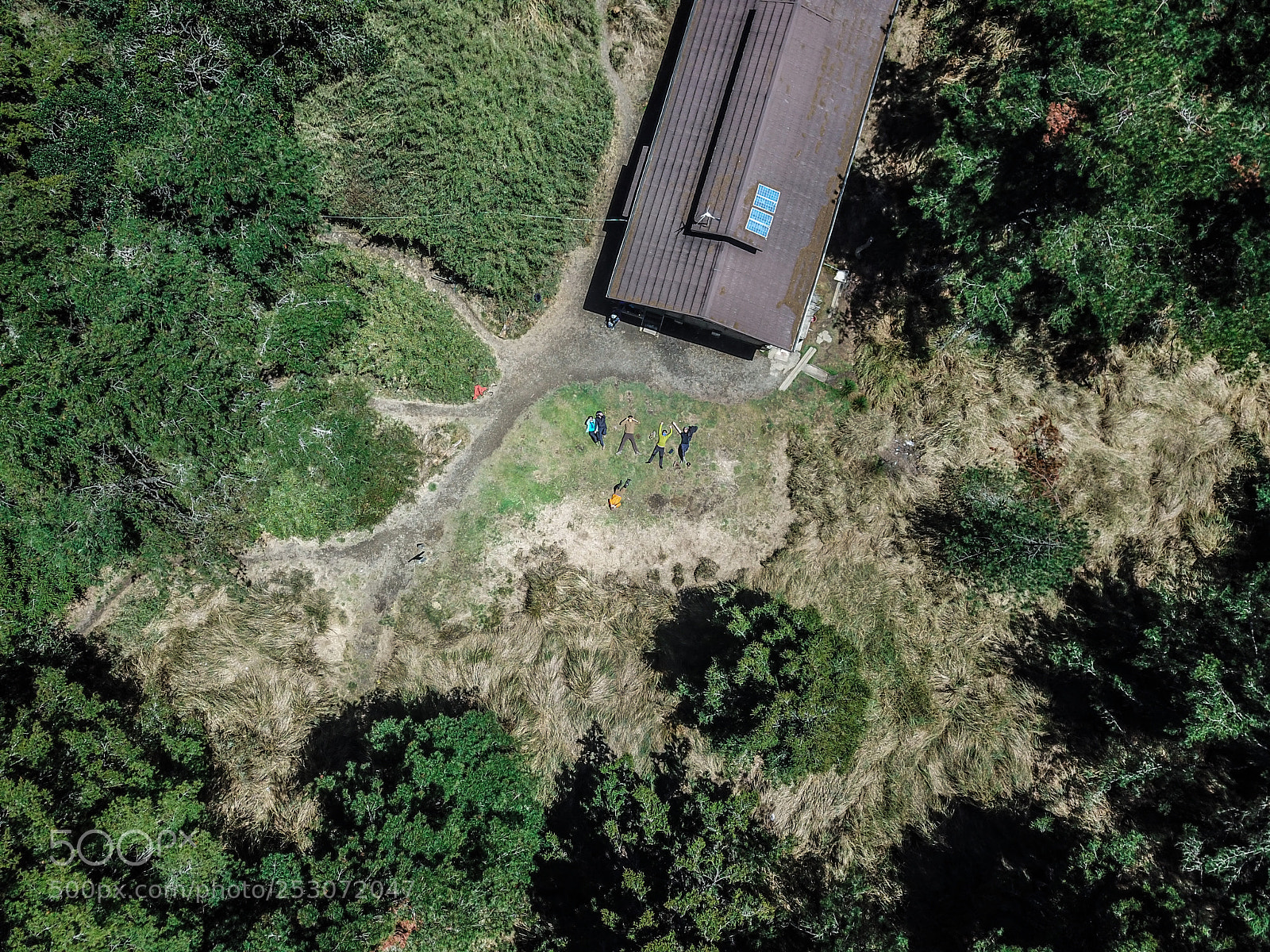 DJI FC220 sample photo. Laying photography