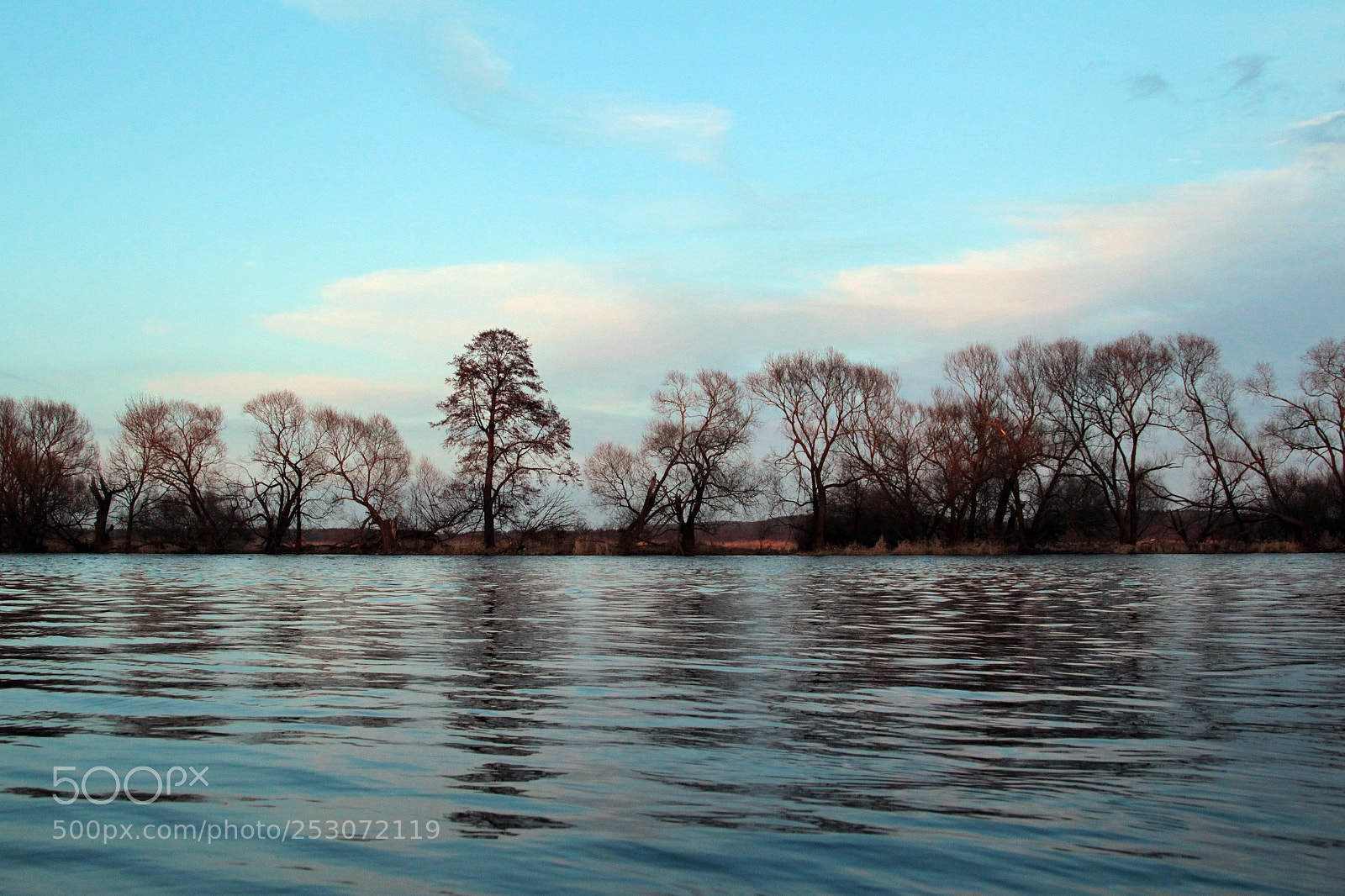 Canon EOS-1D Mark IV sample photo. Untitled photography