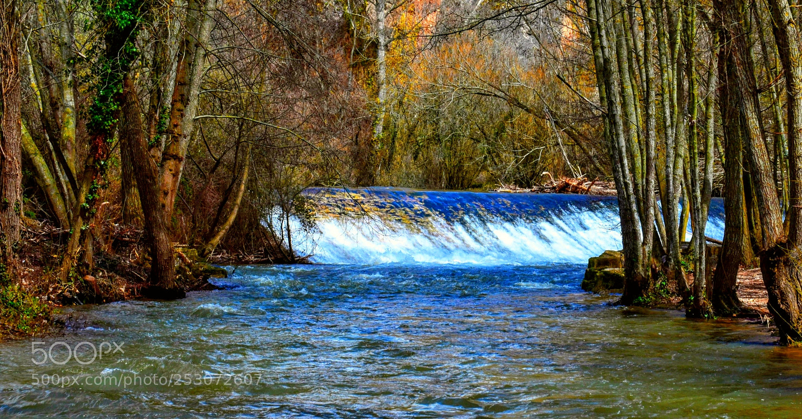 Nikon D3400 sample photo. Untitled photography
