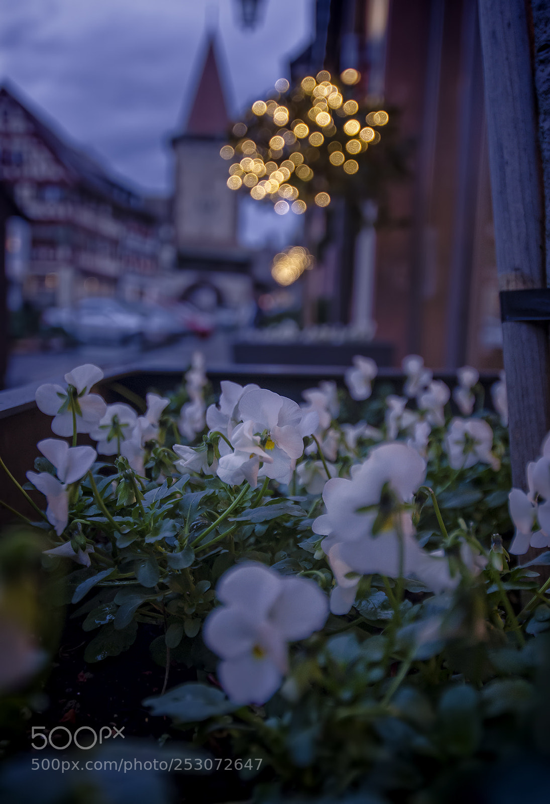 Nikon D7000 sample photo. Gengenbach photography