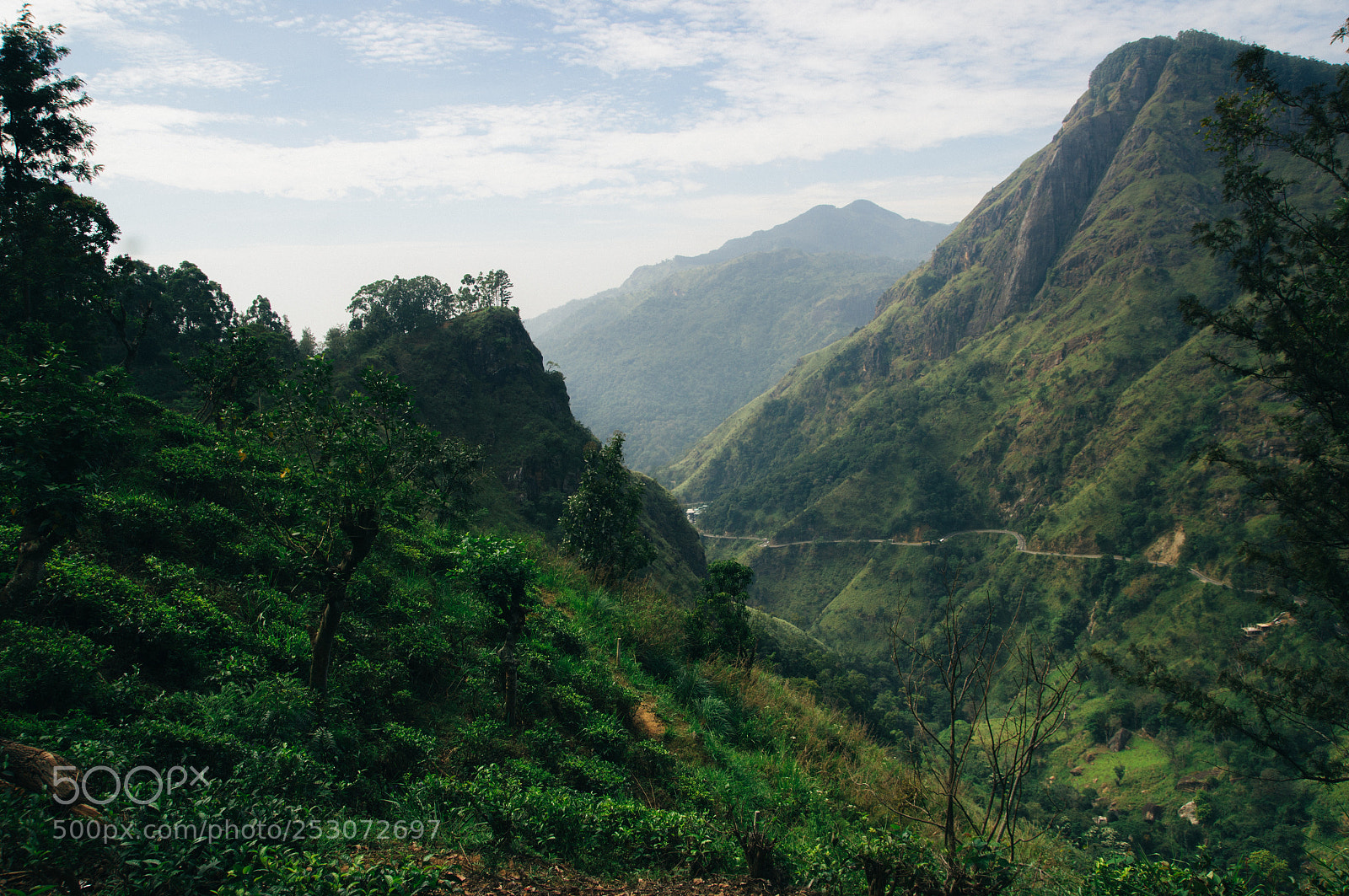 Sony Alpha DSLR-A580 sample photo. Sri lanka photography