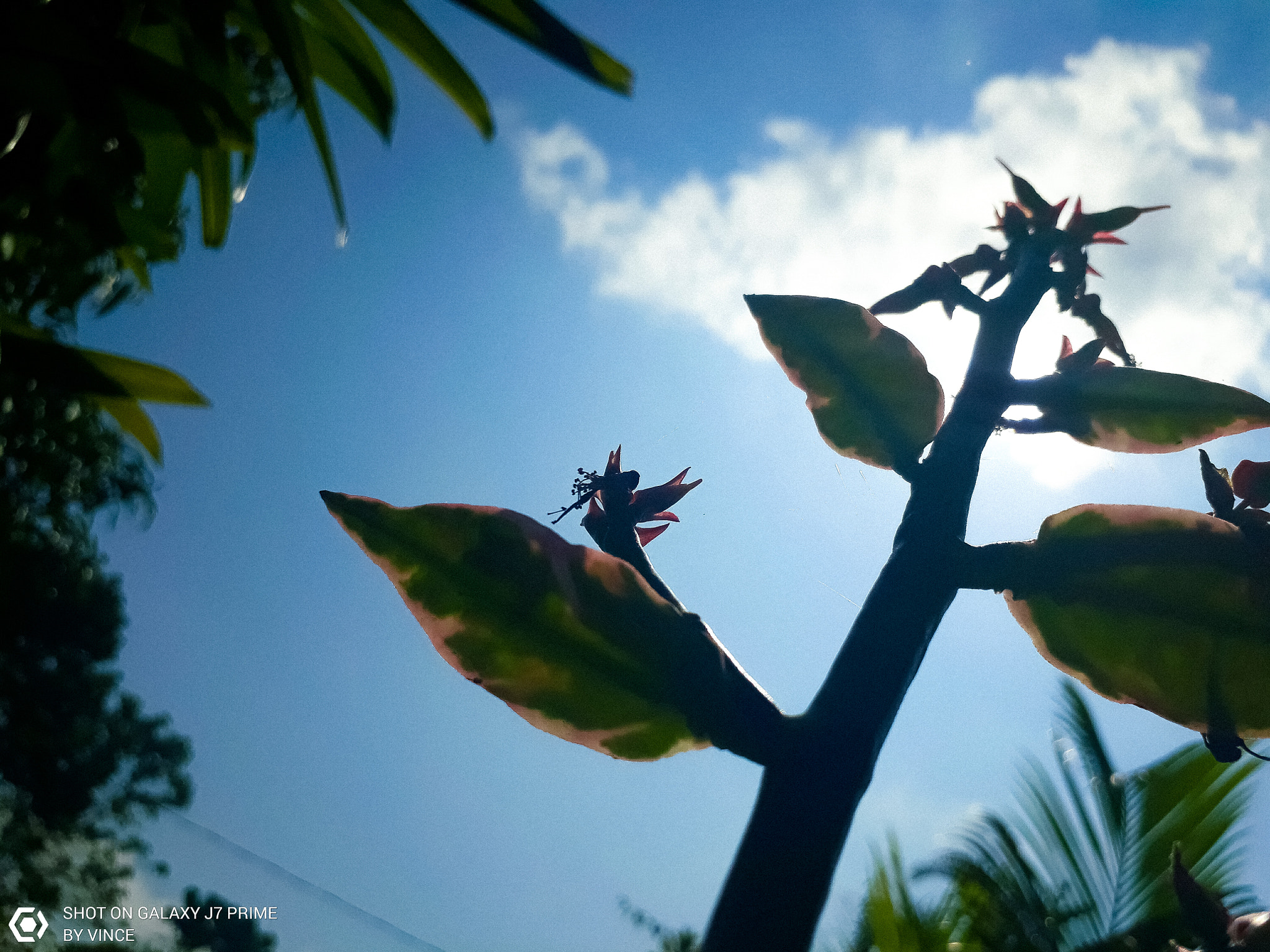 Samsung Galaxy J7 Prime sample photo