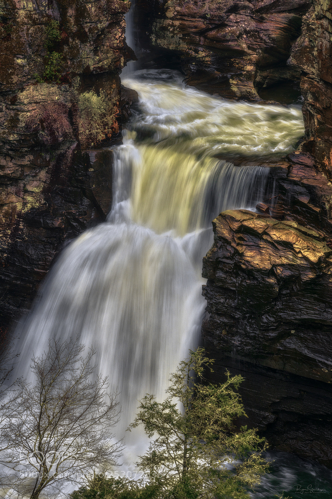 Canon EOS 5DS R sample photo. Linville up close photography