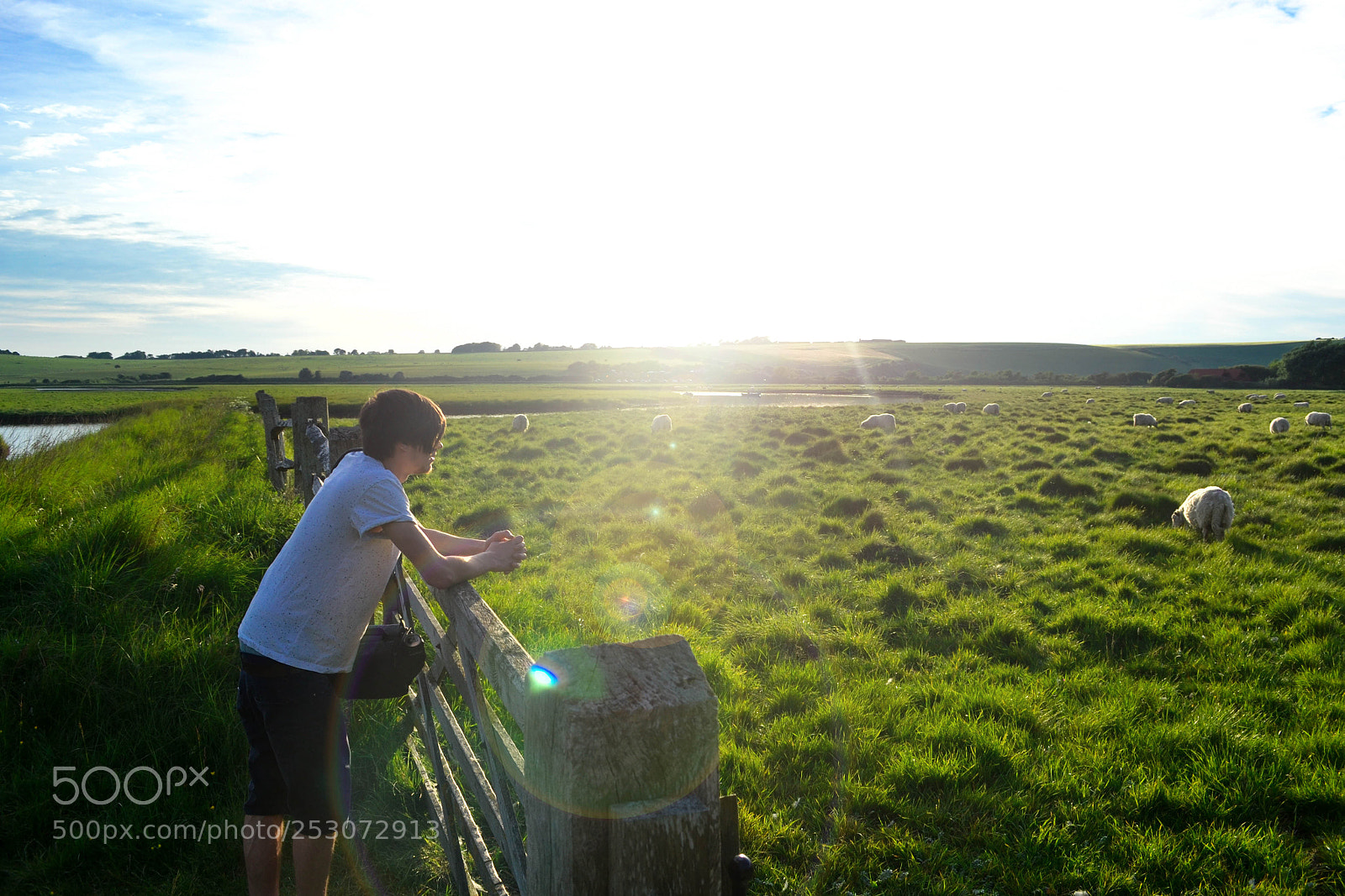 Nikon D3100 sample photo. My beautiful view. photography