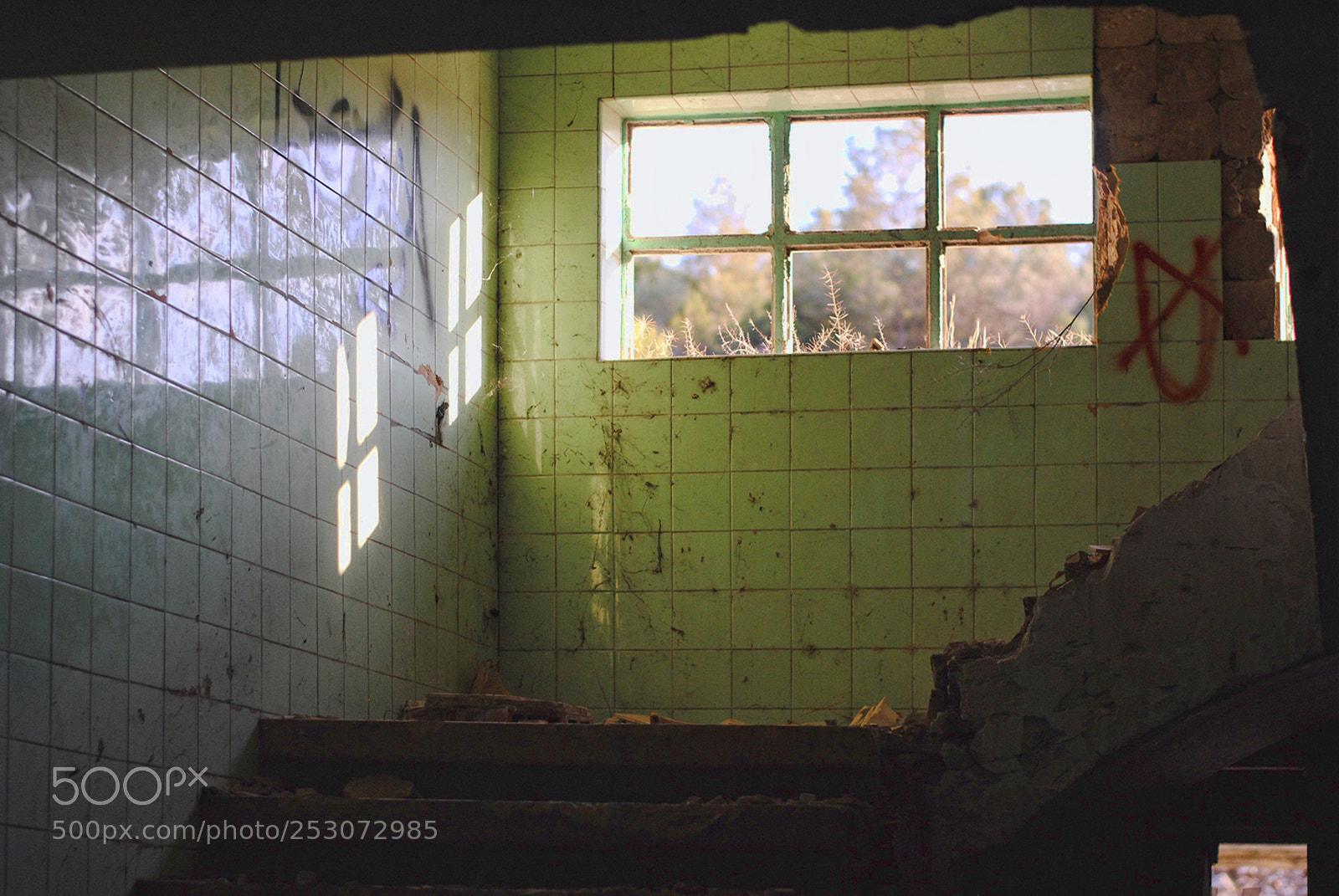 Nikon D3000 sample photo. Green tiles photography