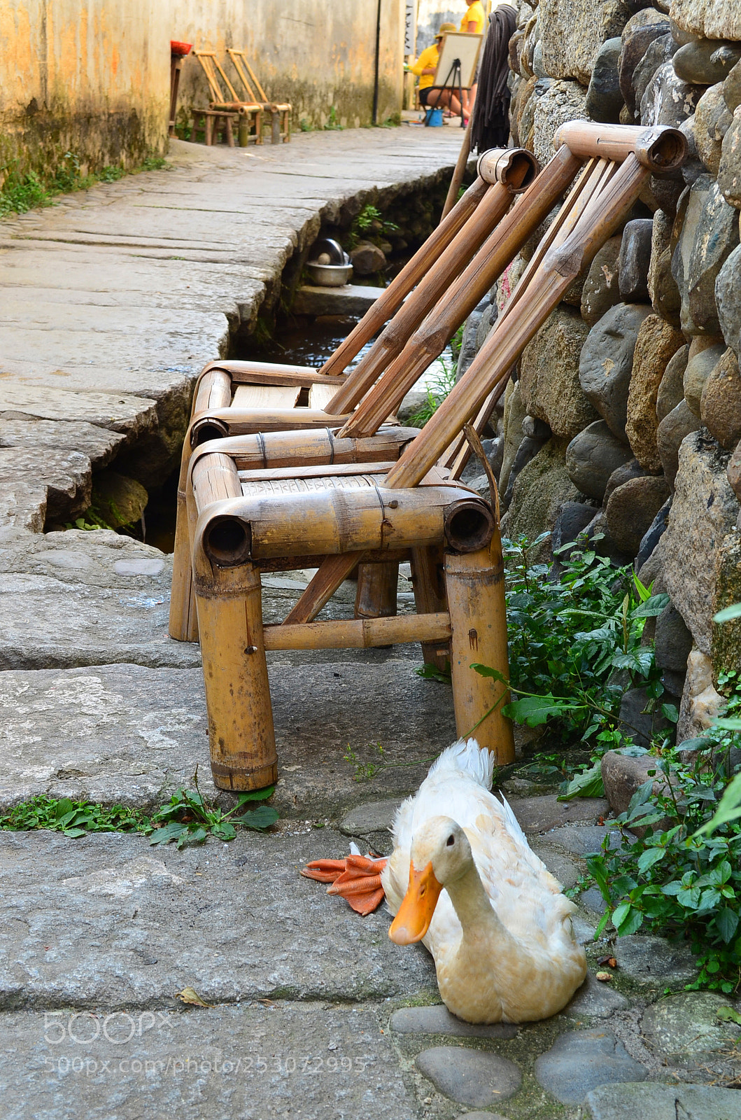 Nikon D5100 sample photo. Leisure life photography