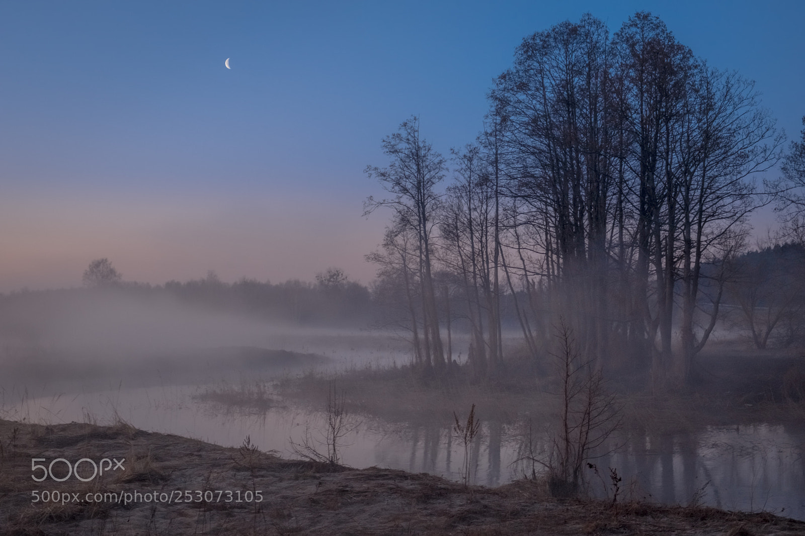 Fujifilm X-T20 sample photo. Fog sunrise photography