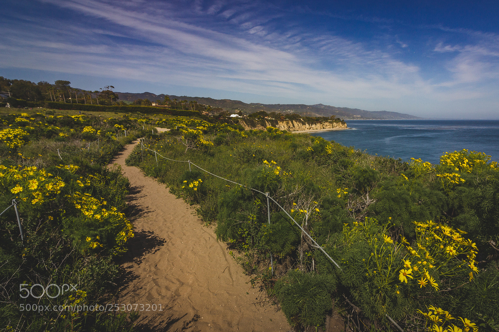 Canon EOS 600D (Rebel EOS T3i / EOS Kiss X5) sample photo. Dume cove spring wildflowers photography