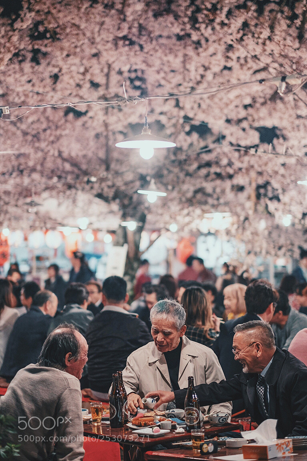 Fujifilm X-T2 sample photo. Japanese “hanami” photography