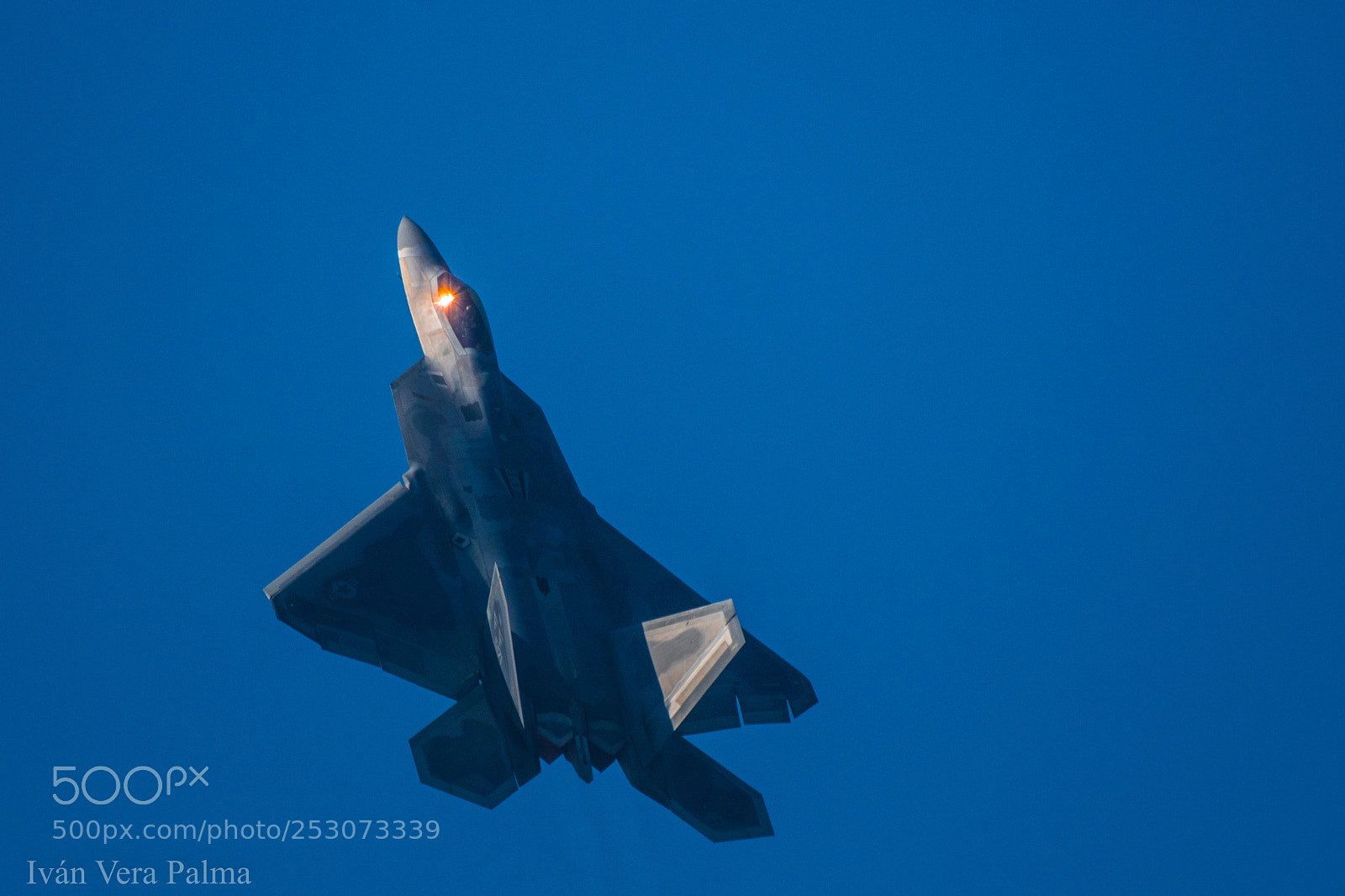 Nikon D500 sample photo. F22 raptor photography