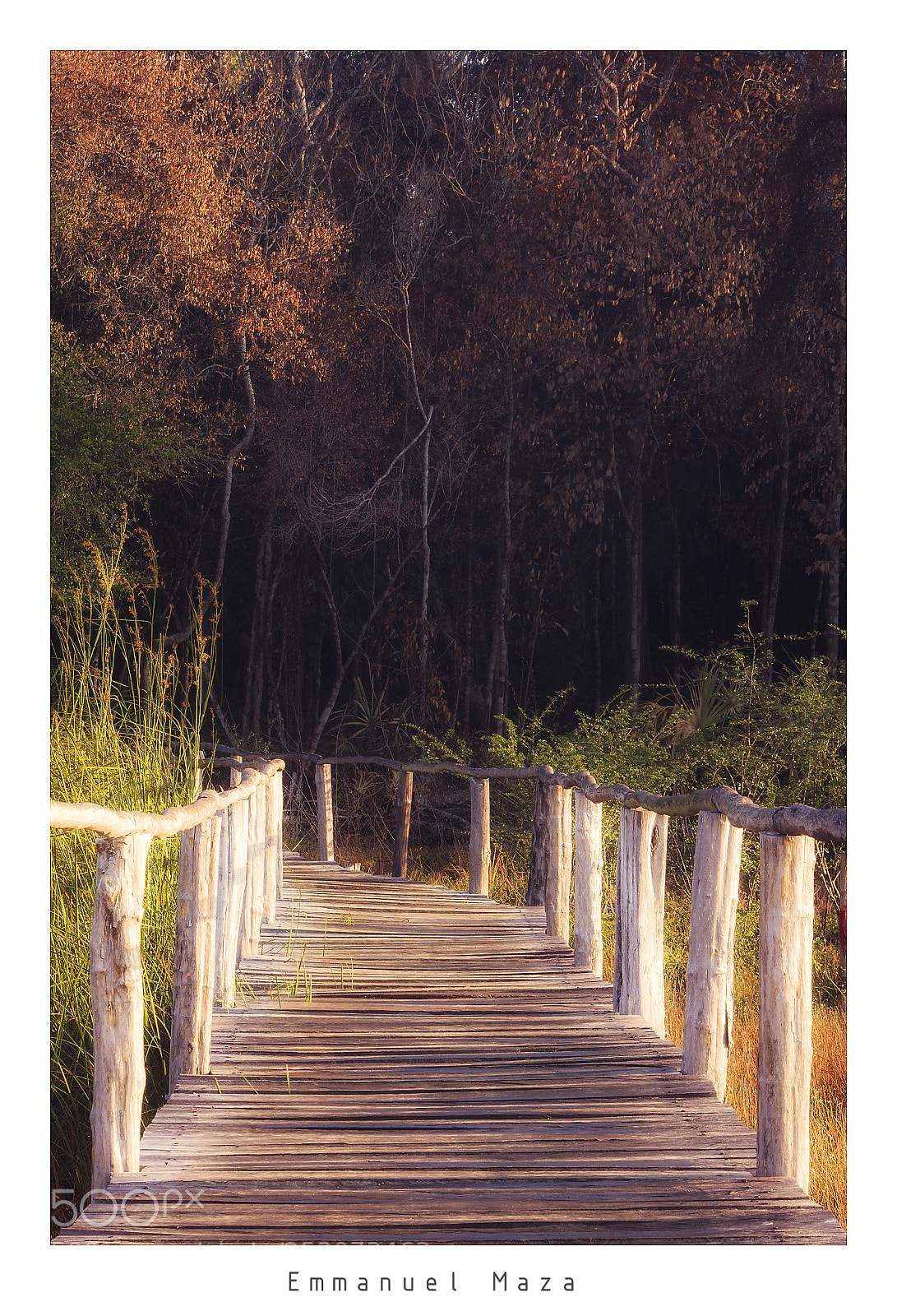 Canon EOS 7D sample photo. La senda de los photography