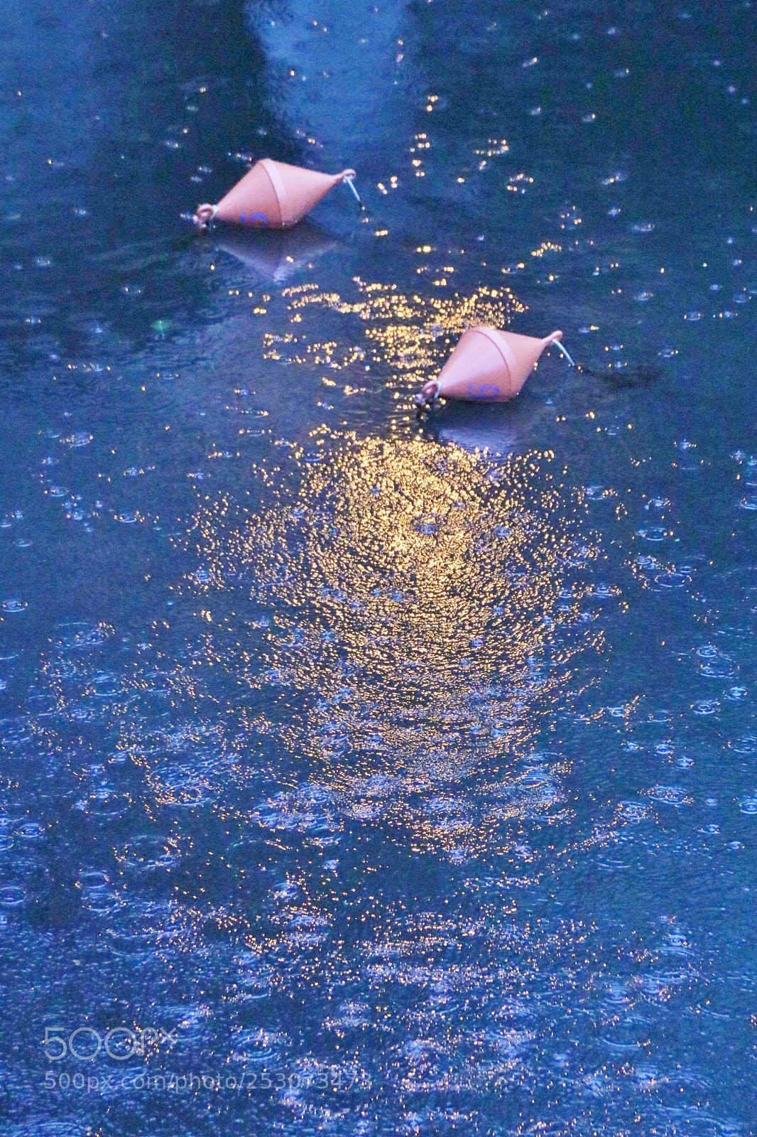 Canon EOS 80D sample photo. Raining light photography