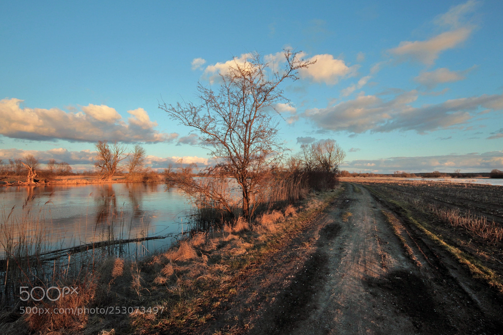 Canon EOS-1D Mark IV sample photo. Untitled photography