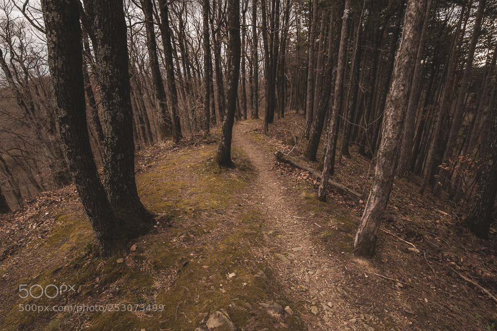 Nikon D3300 sample photo. Ridge trail photography