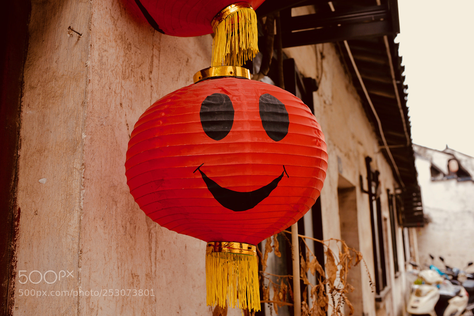 Nikon D610 sample photo. 笑脸相迎 photography