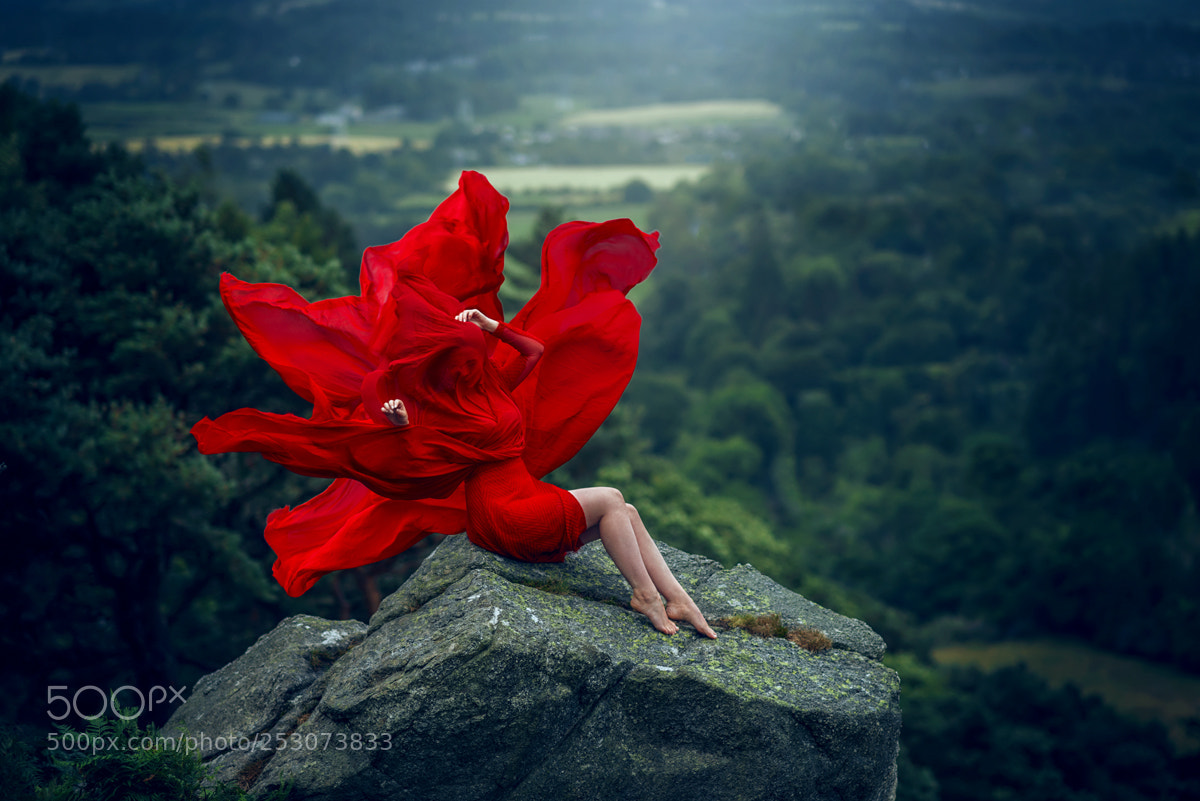 Nikon D800 sample photo. Poppy flower photography