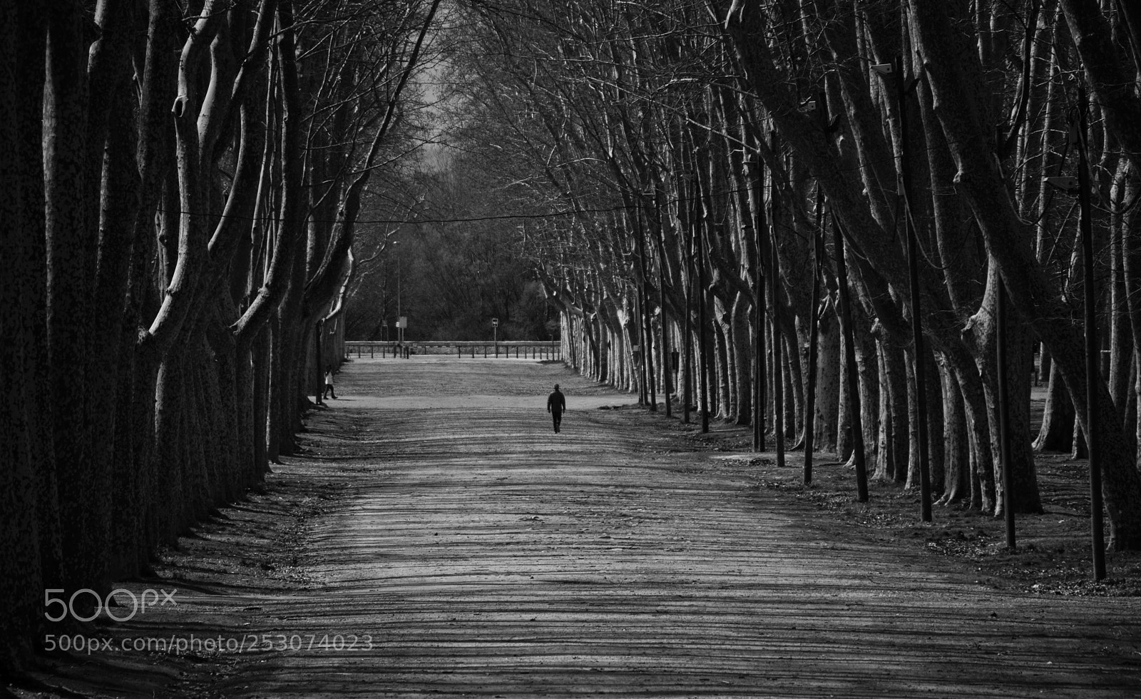 Nikon D3300 sample photo. Girona photography