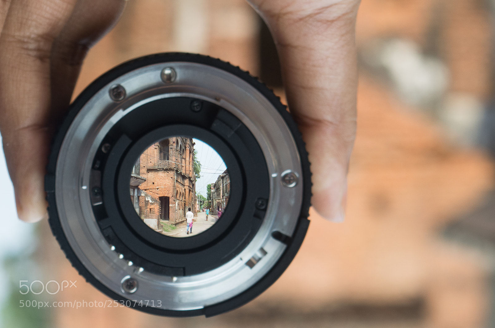 Nikon D5200 sample photo. Life circles photography