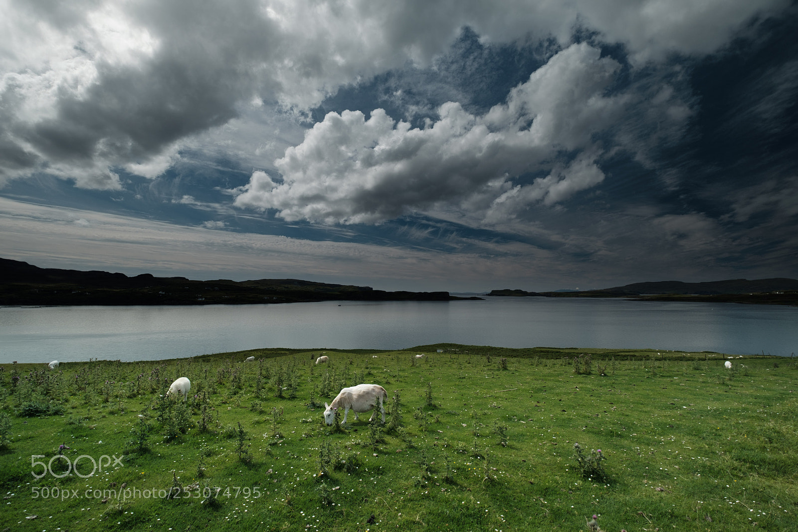 Fujifilm X-T2 sample photo. Clouds and sheep photography