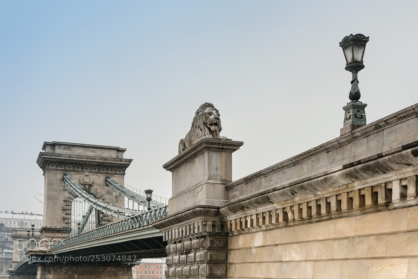 Nikon D800 sample photo. Szechenyi chain bridge in photography