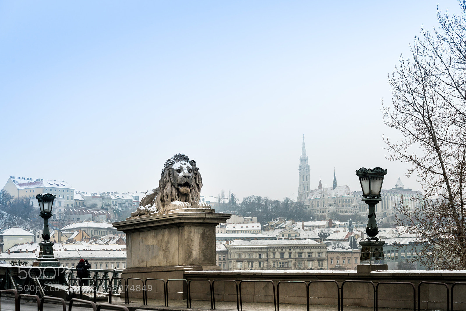 Nikon D800 sample photo. Szechenyi chain bridge in photography