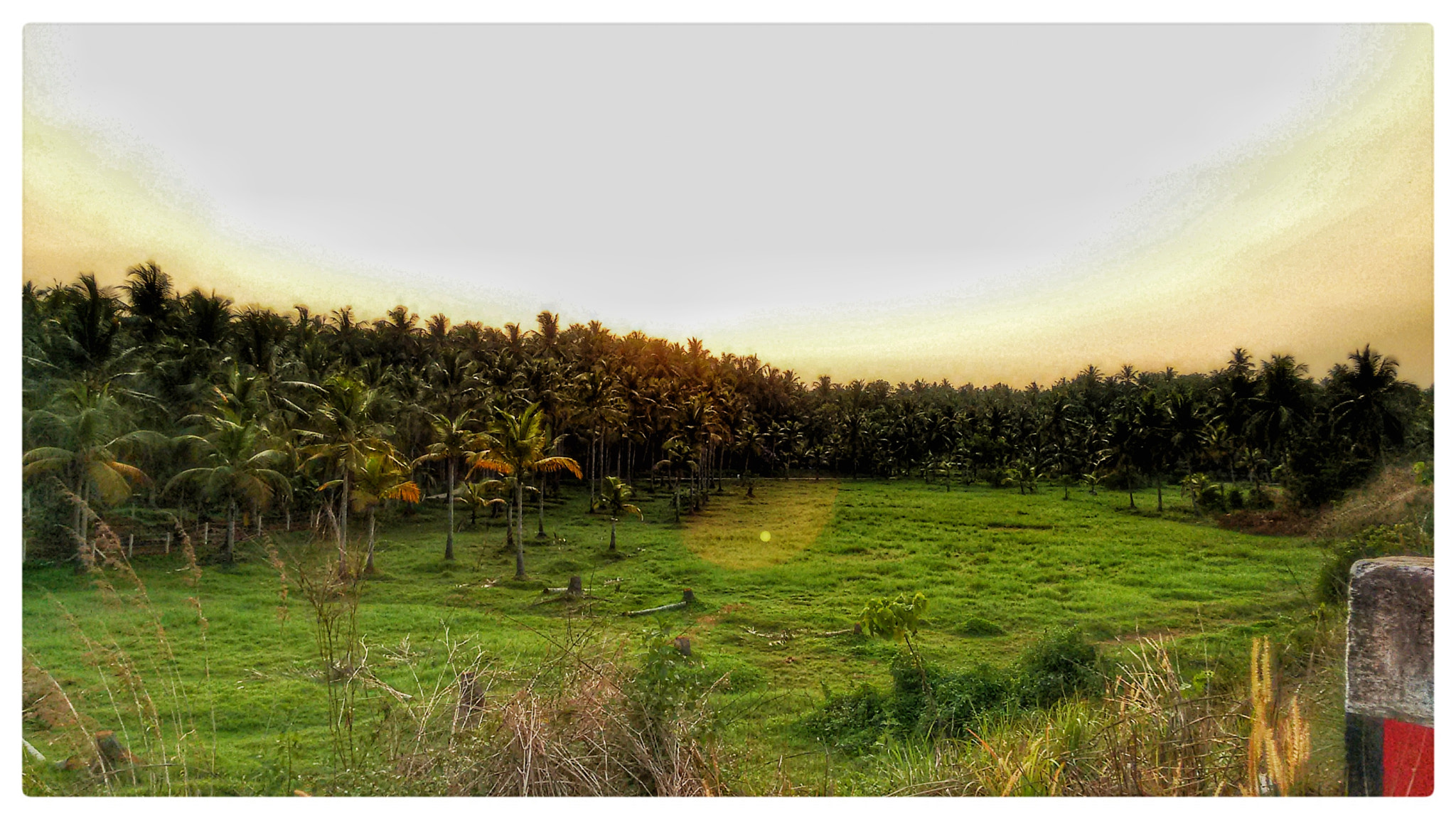 Motorola Moto G (2nd Gen) sample photo. Kerala photography