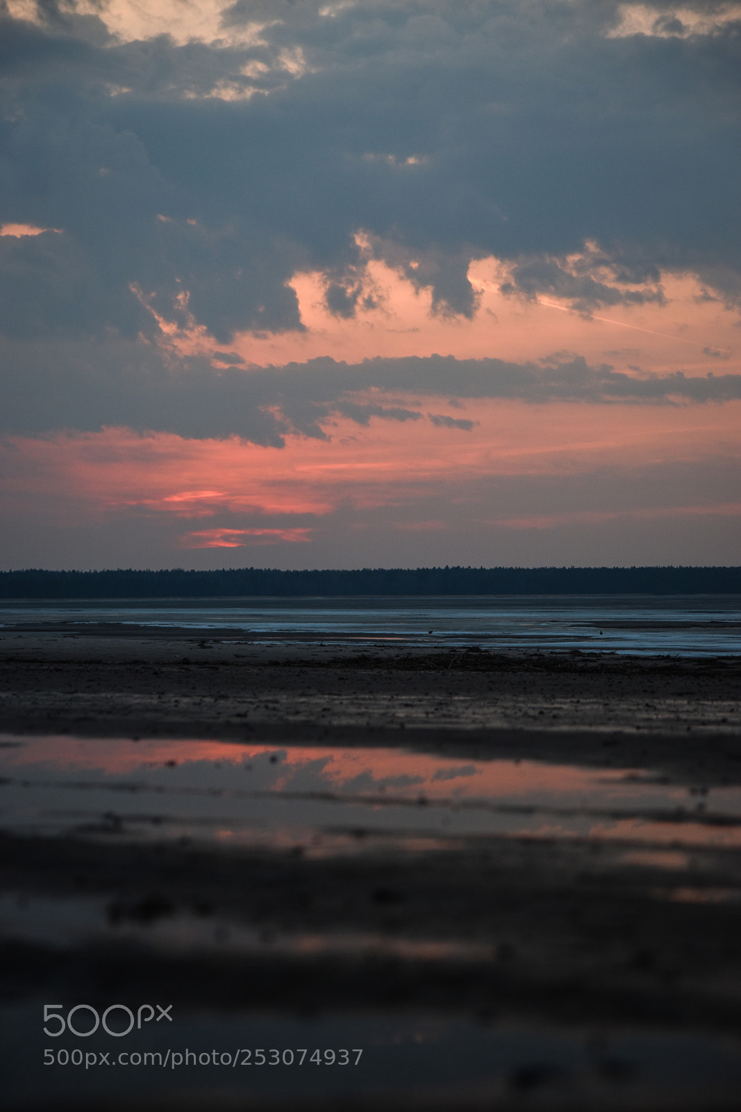 Nikon D5500 sample photo. Untitled photography