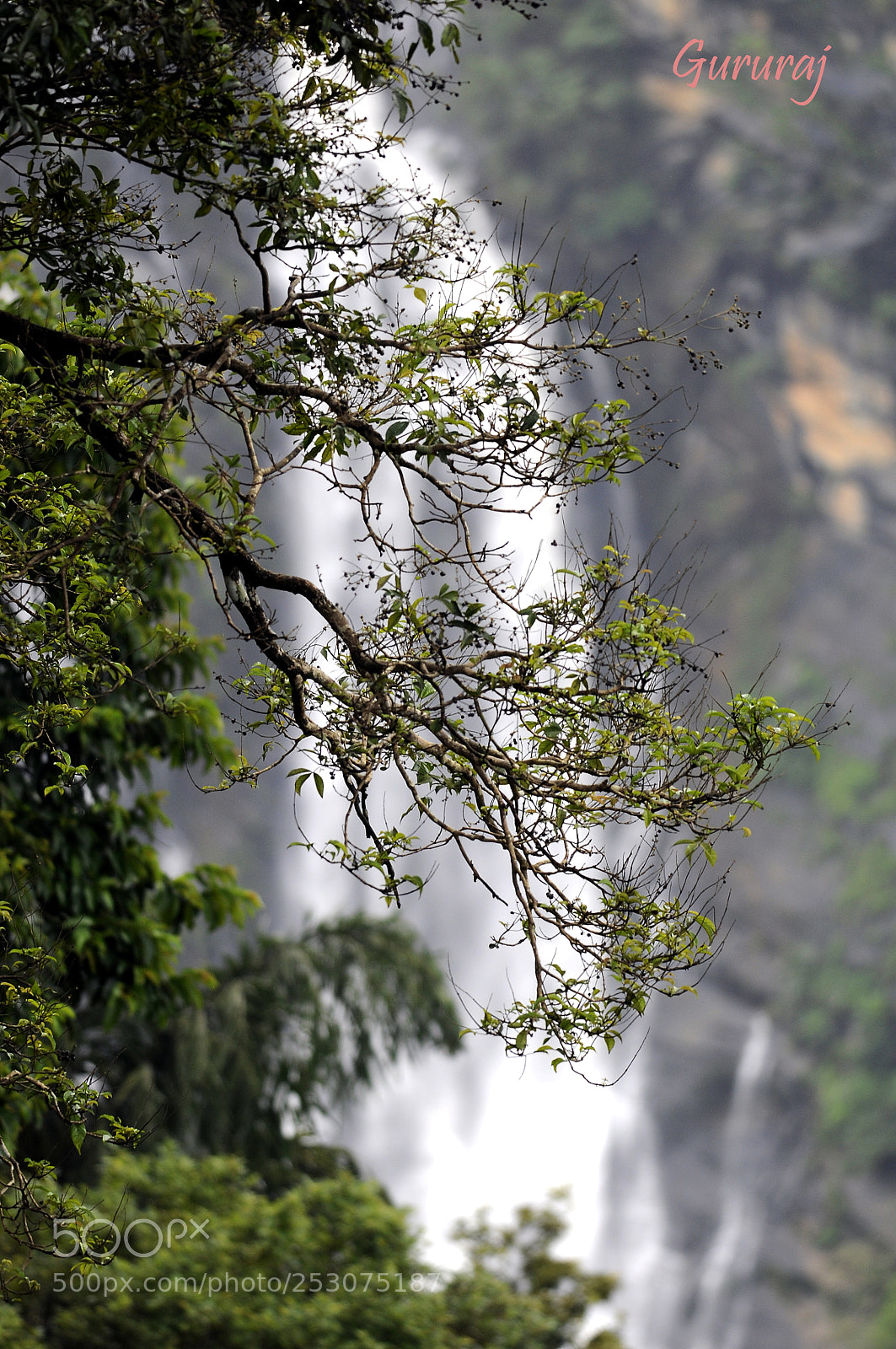 Nikon D90 sample photo. Untitled photography