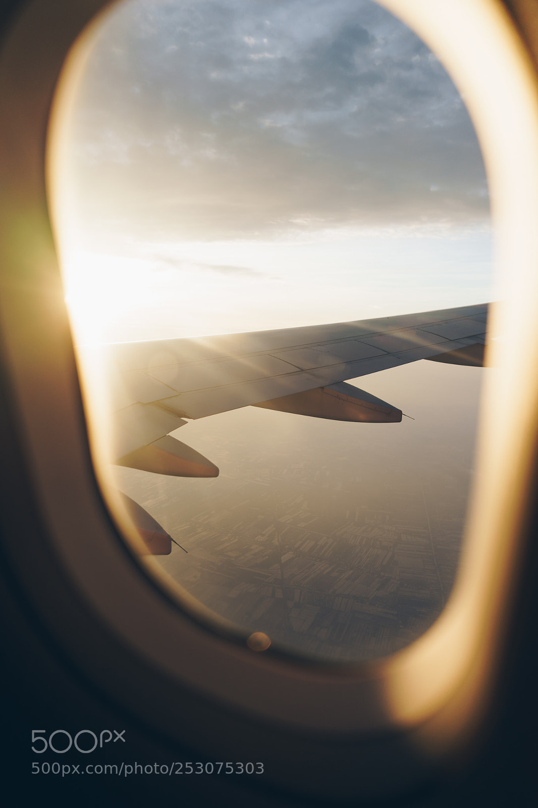 Sony a7 II sample photo. Fly photography