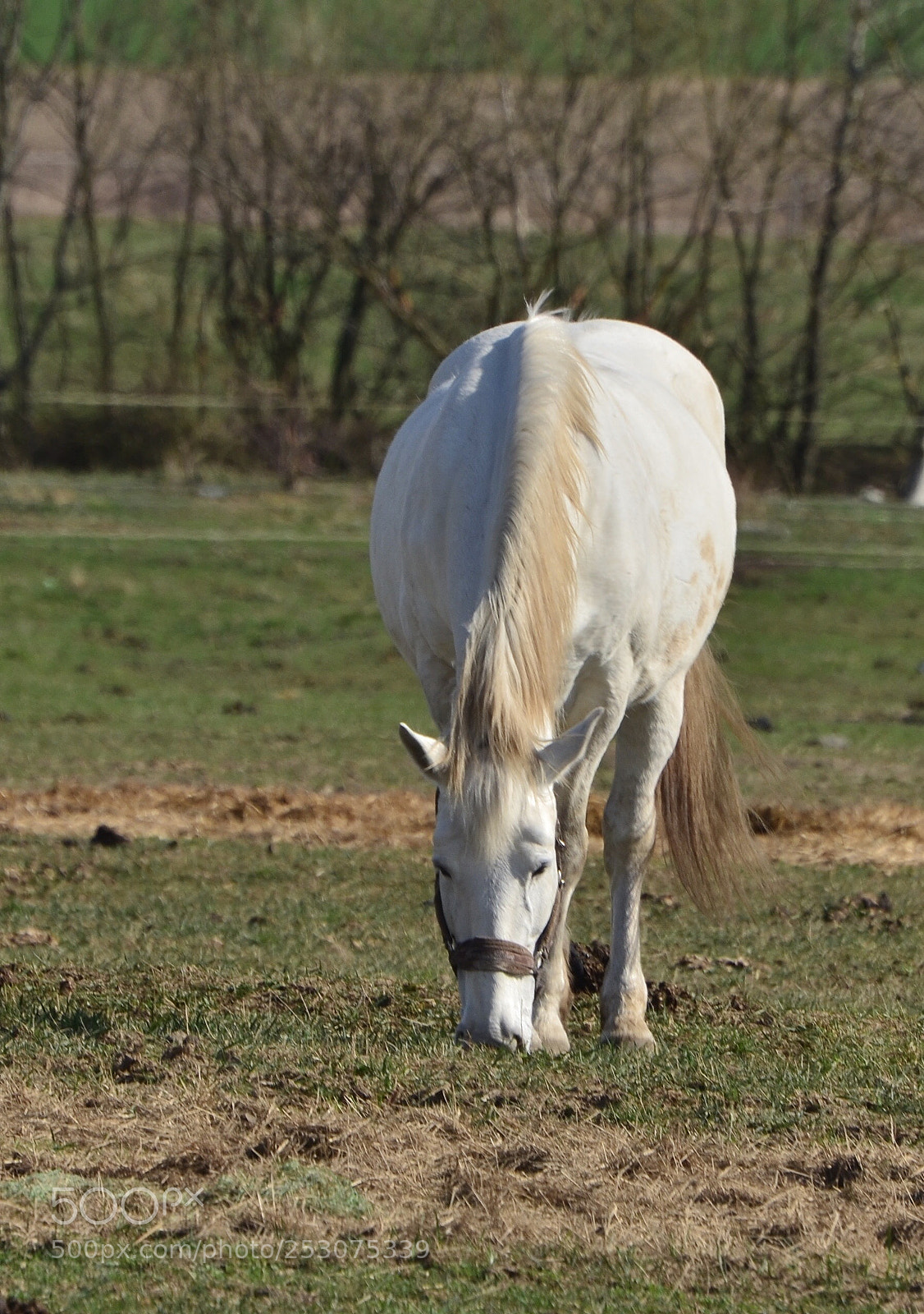 Nikon D5100 sample photo. I eat photography