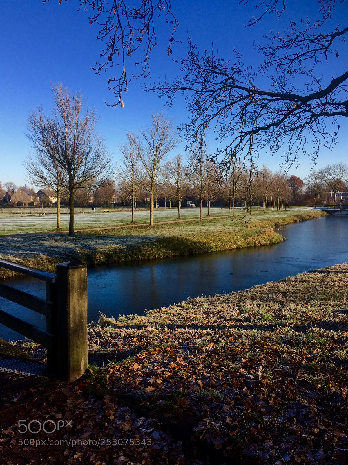 Apple iPhone 5s sample photo. Park photography