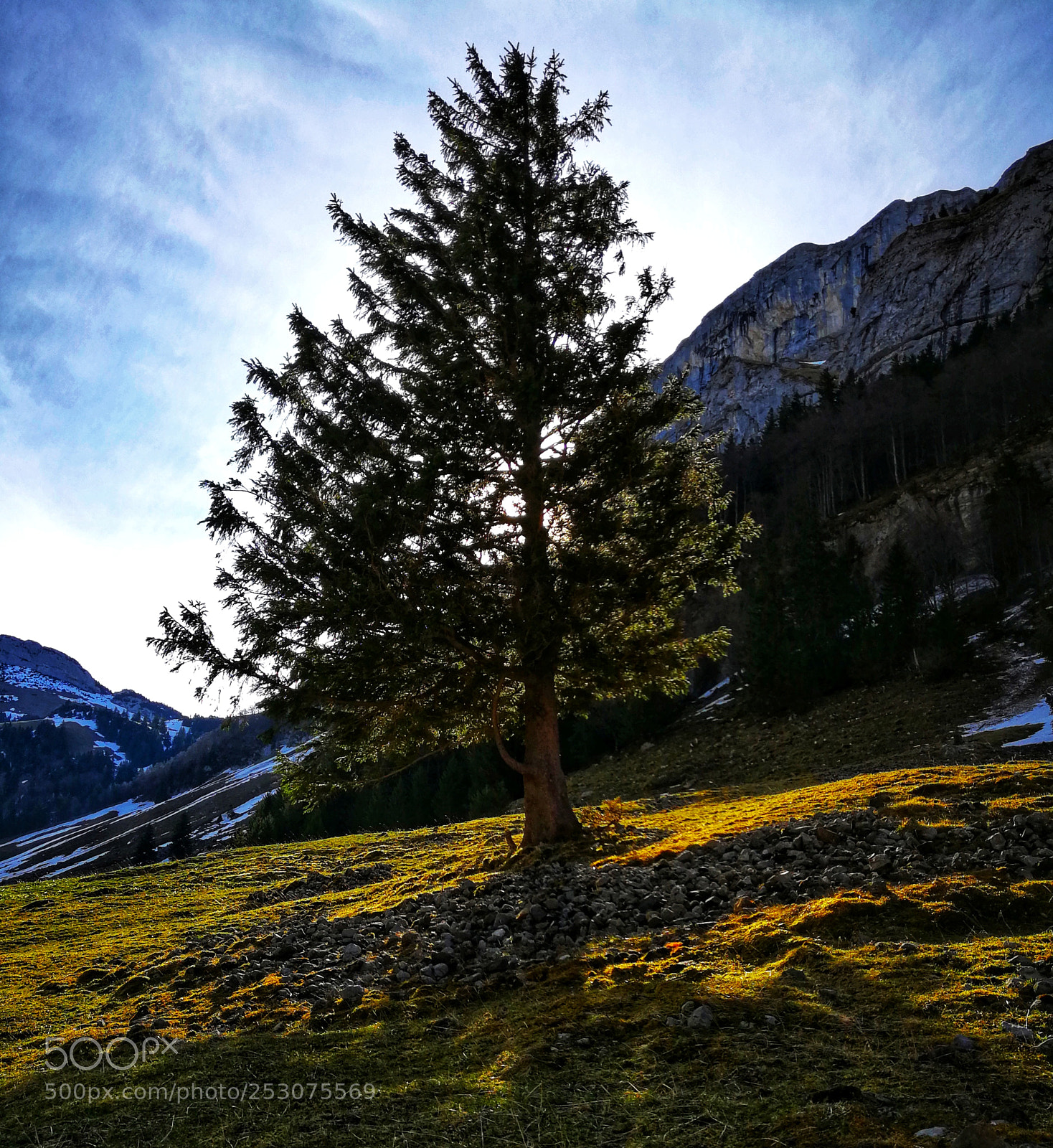 HUAWEI P10 Plus sample photo. Schwende photography