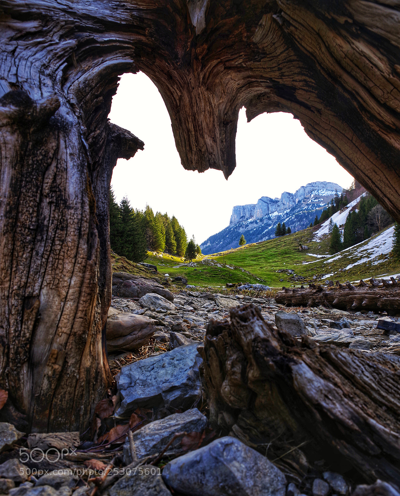 Pentax K-1 sample photo. Schwende photography