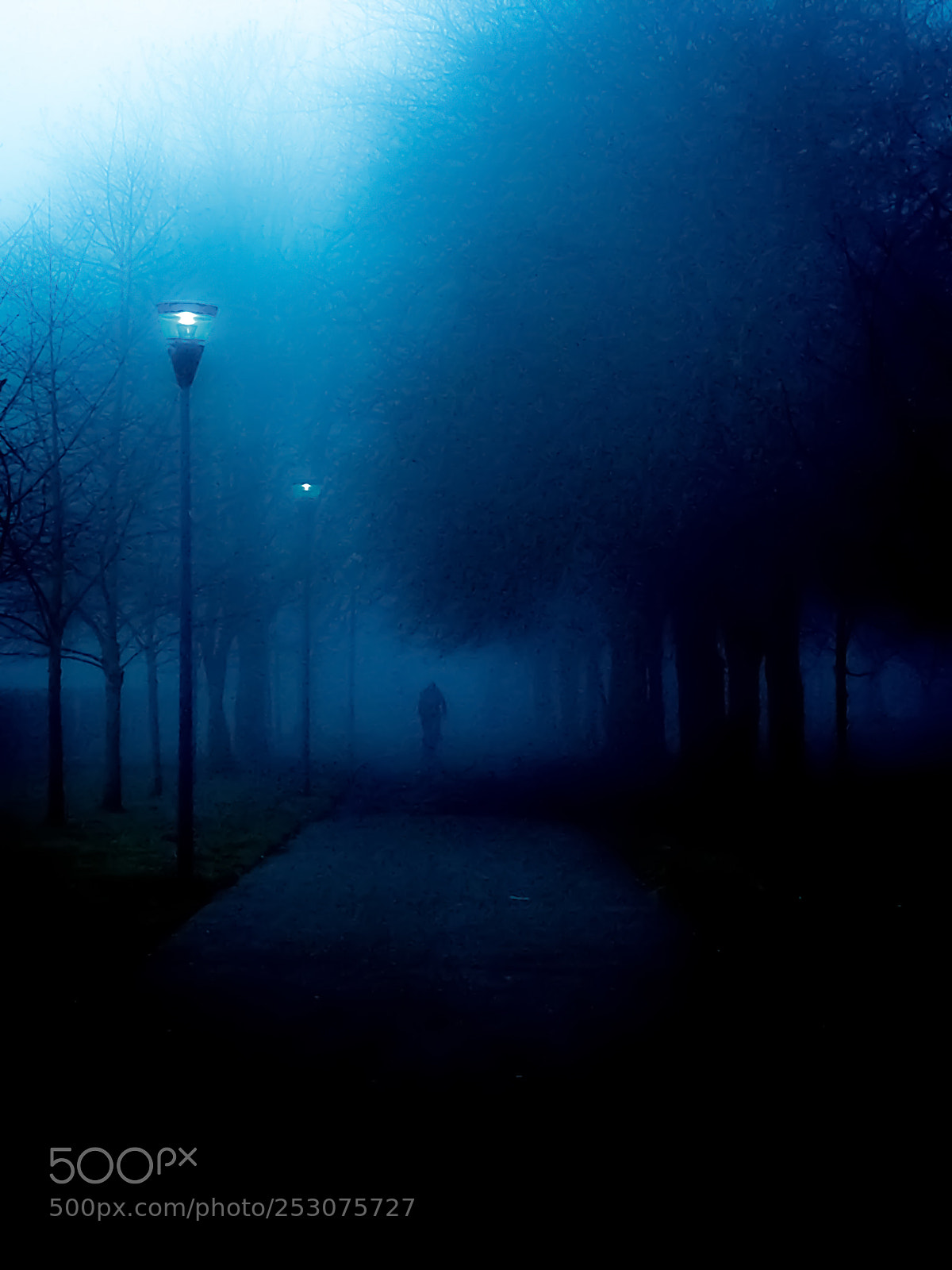 HUAWEI P9 sample photo. Alone in the fog photography
