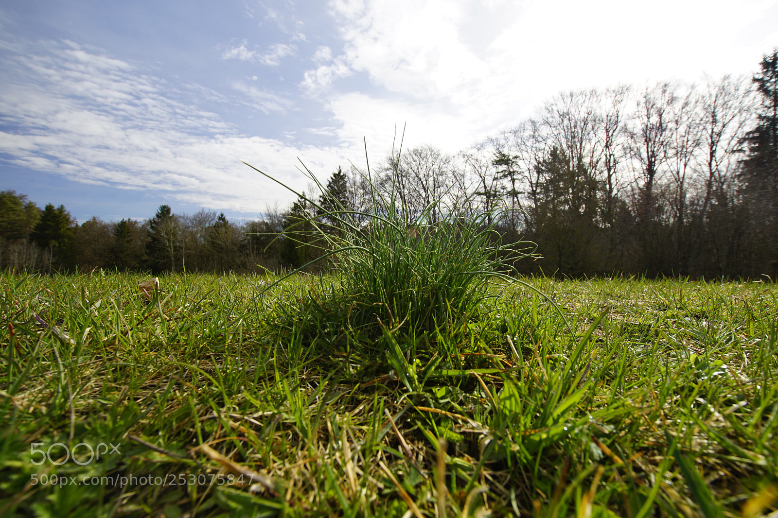 Sony ILCA-77M2 sample photo. Untitled photography