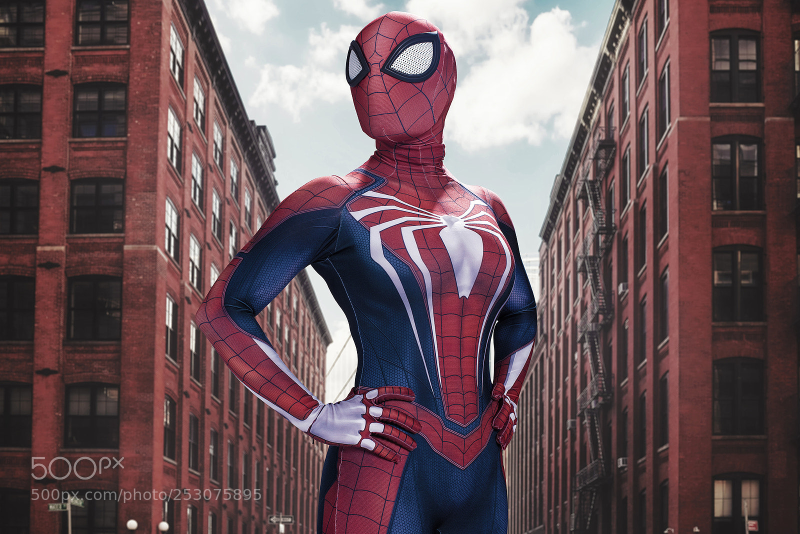 Nikon D810 sample photo. Spider-man photography