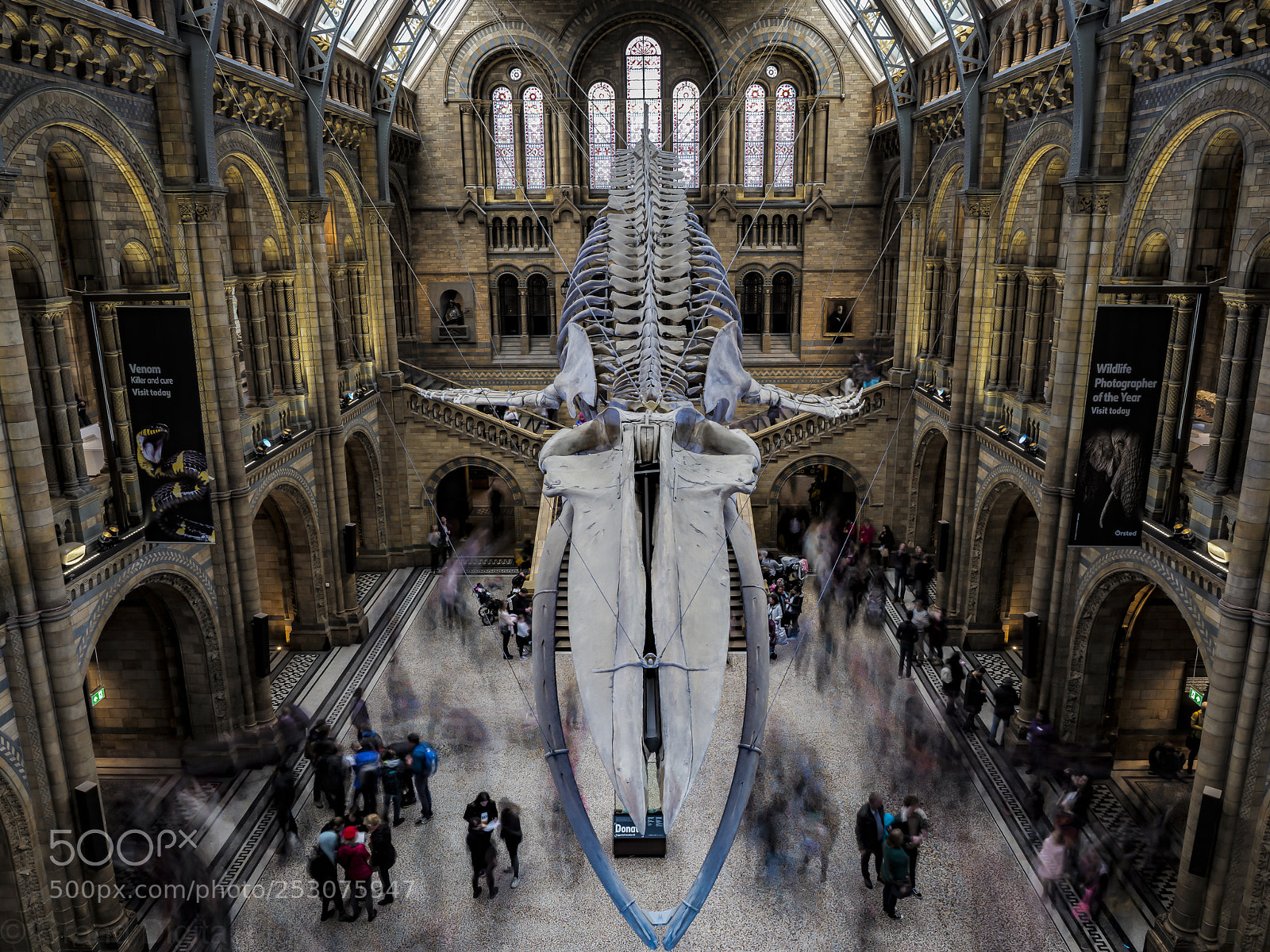 Olympus OM-D E-M1 Mark II sample photo. Whale bones at the photography
