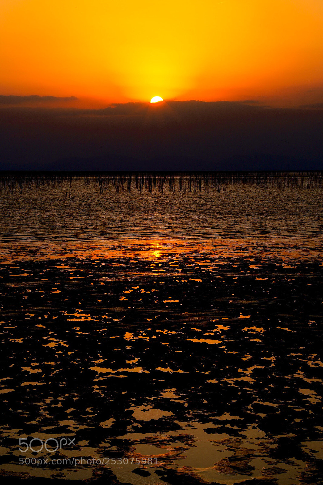 Canon EOS 6D Mark II sample photo. Sunset. photography