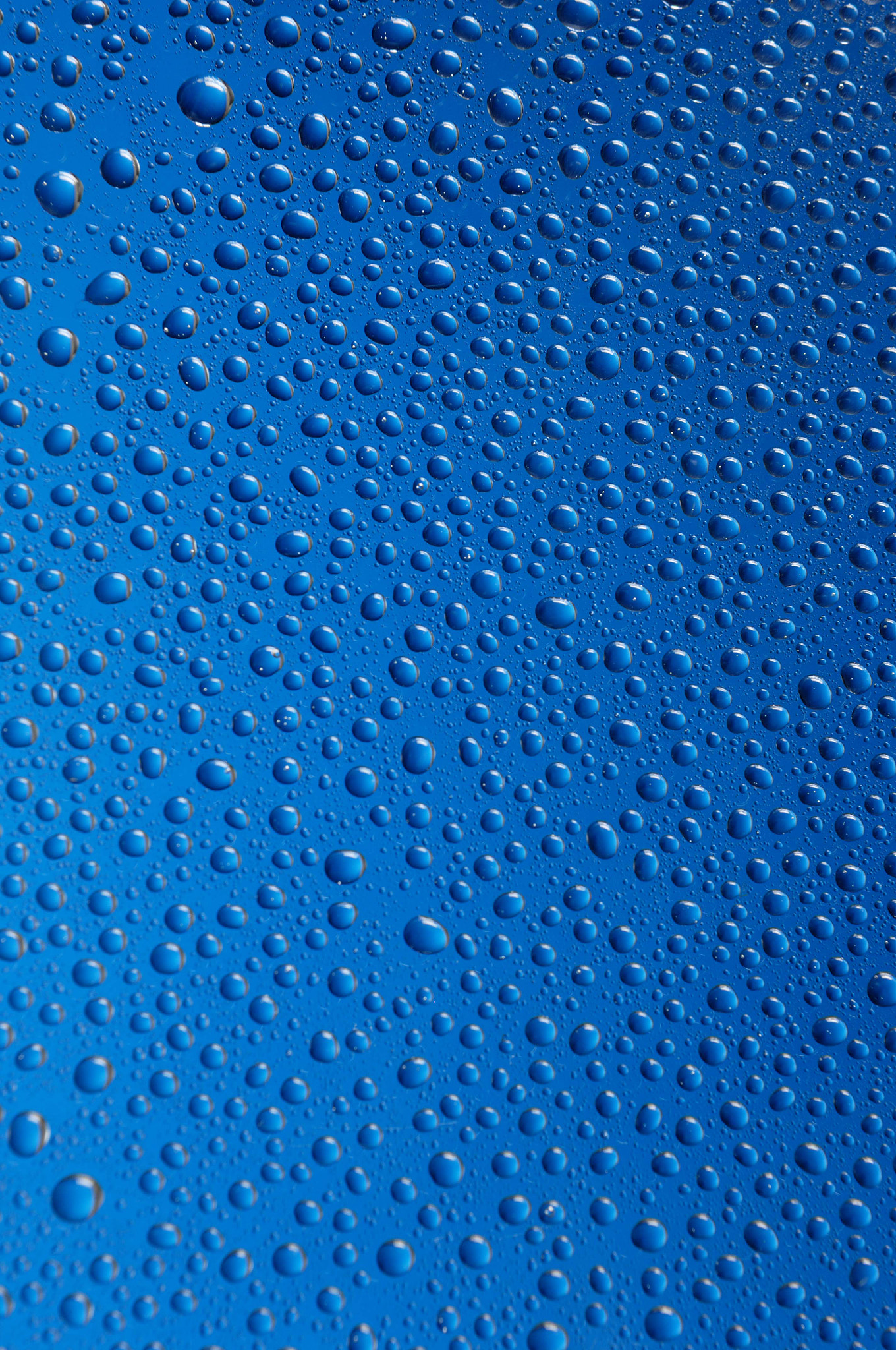 Nikon D2Xs sample photo. Water droplets photography