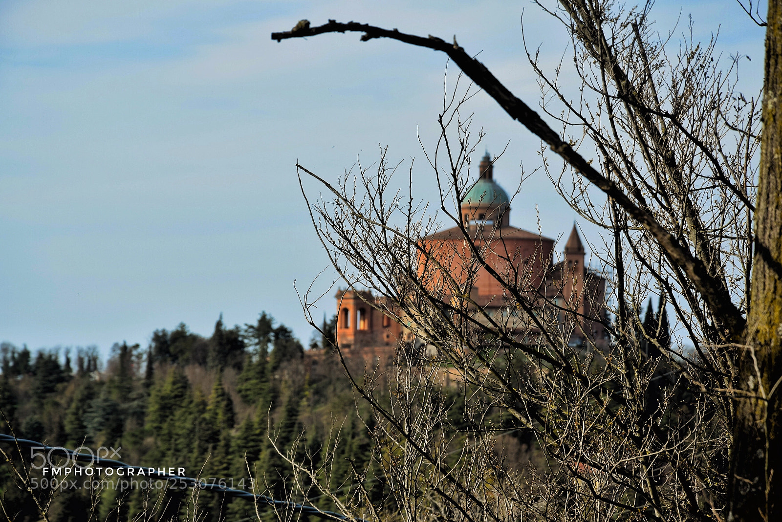 Nikon D3300 sample photo. San luca under branches  photography