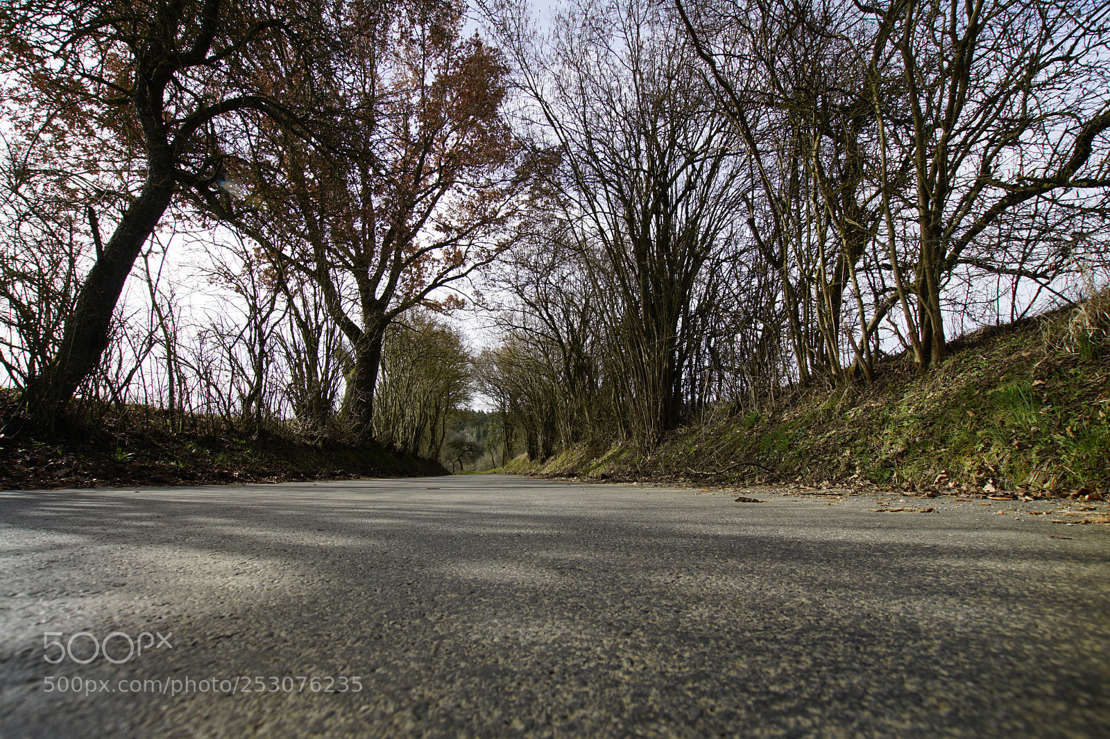 Sony ILCA-77M2 sample photo. Untitled photography