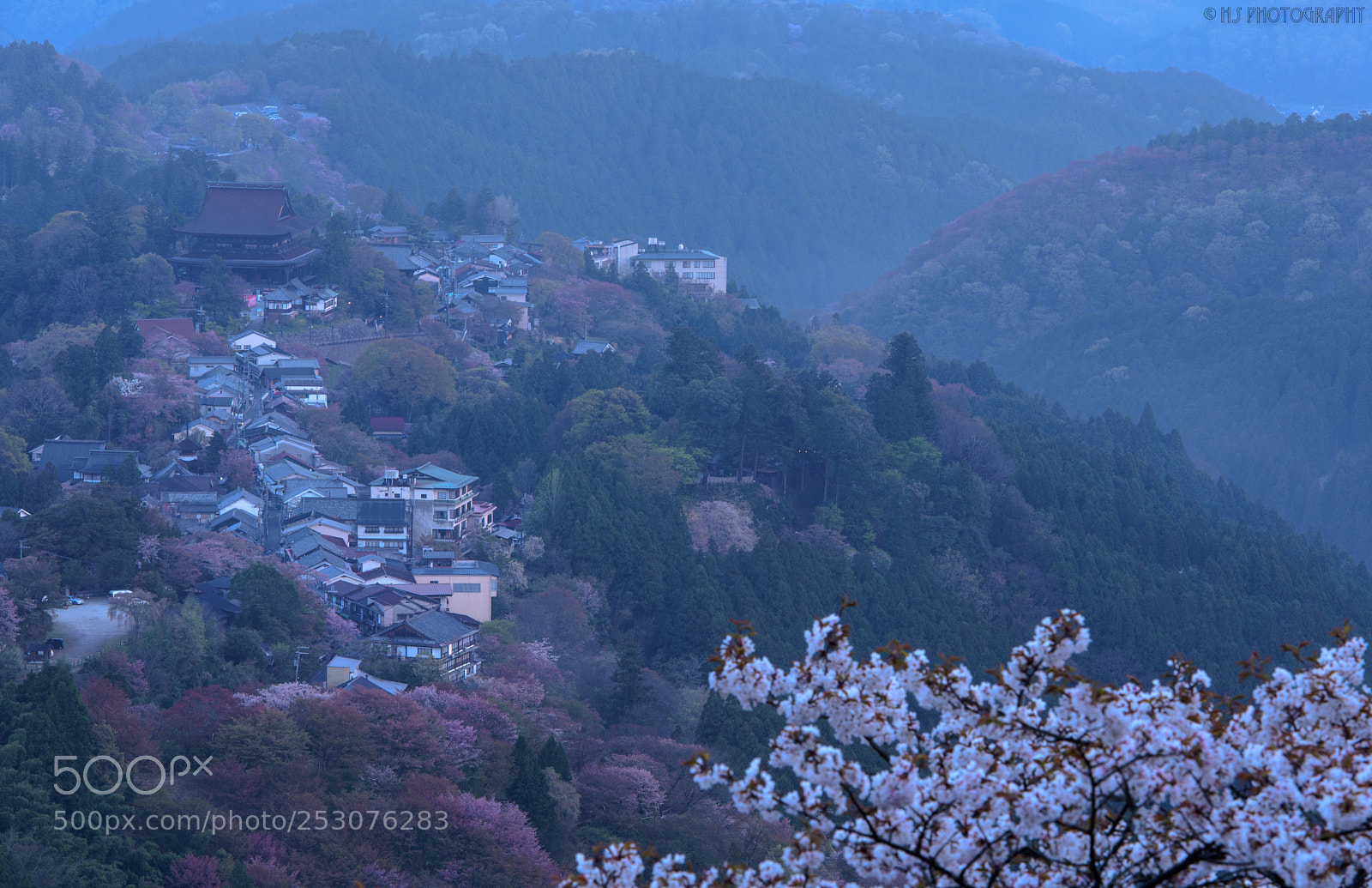 Nikon D810 sample photo. Misty blue photography