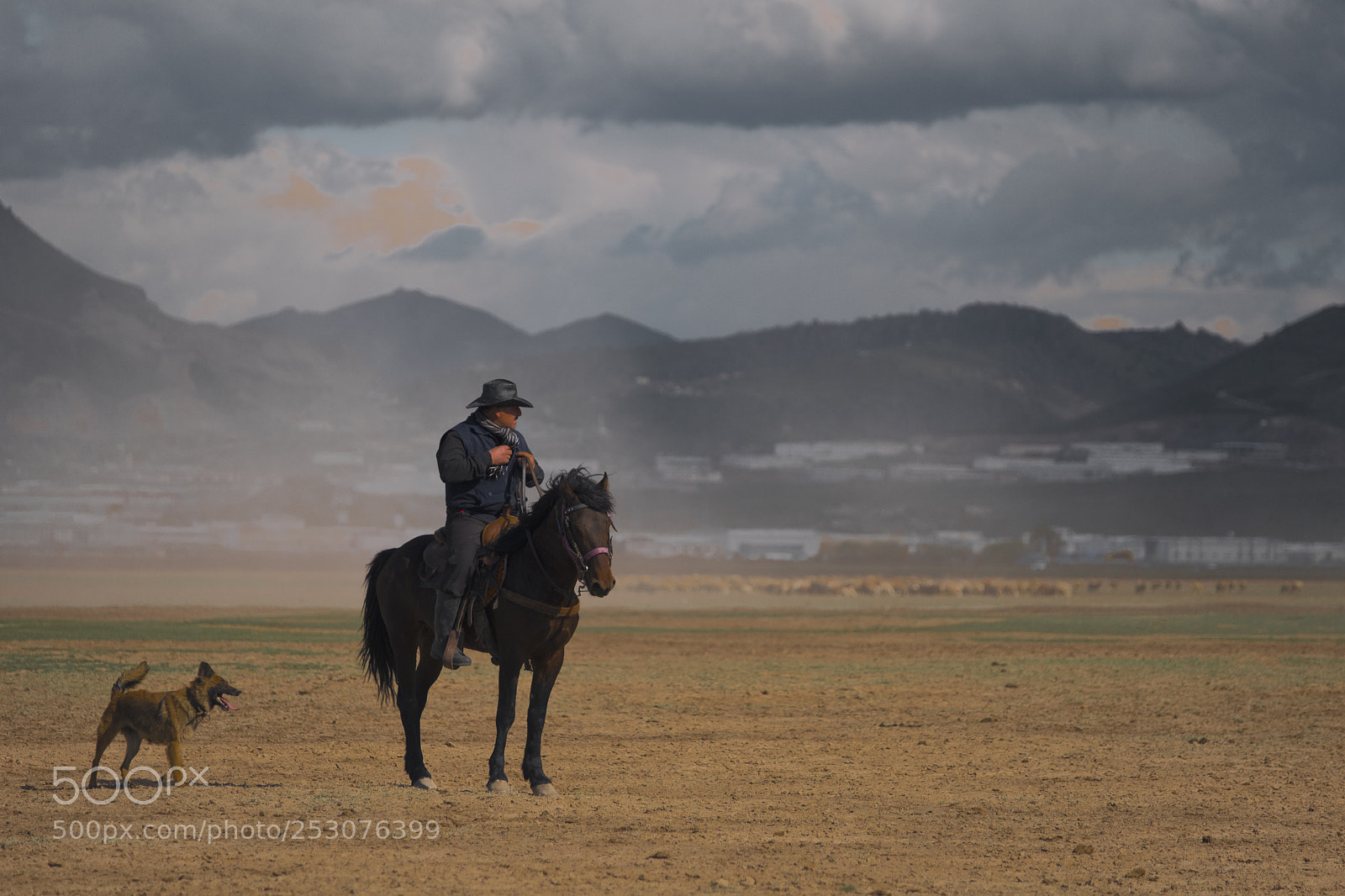 Fujifilm X-T2 sample photo. Untitled photography