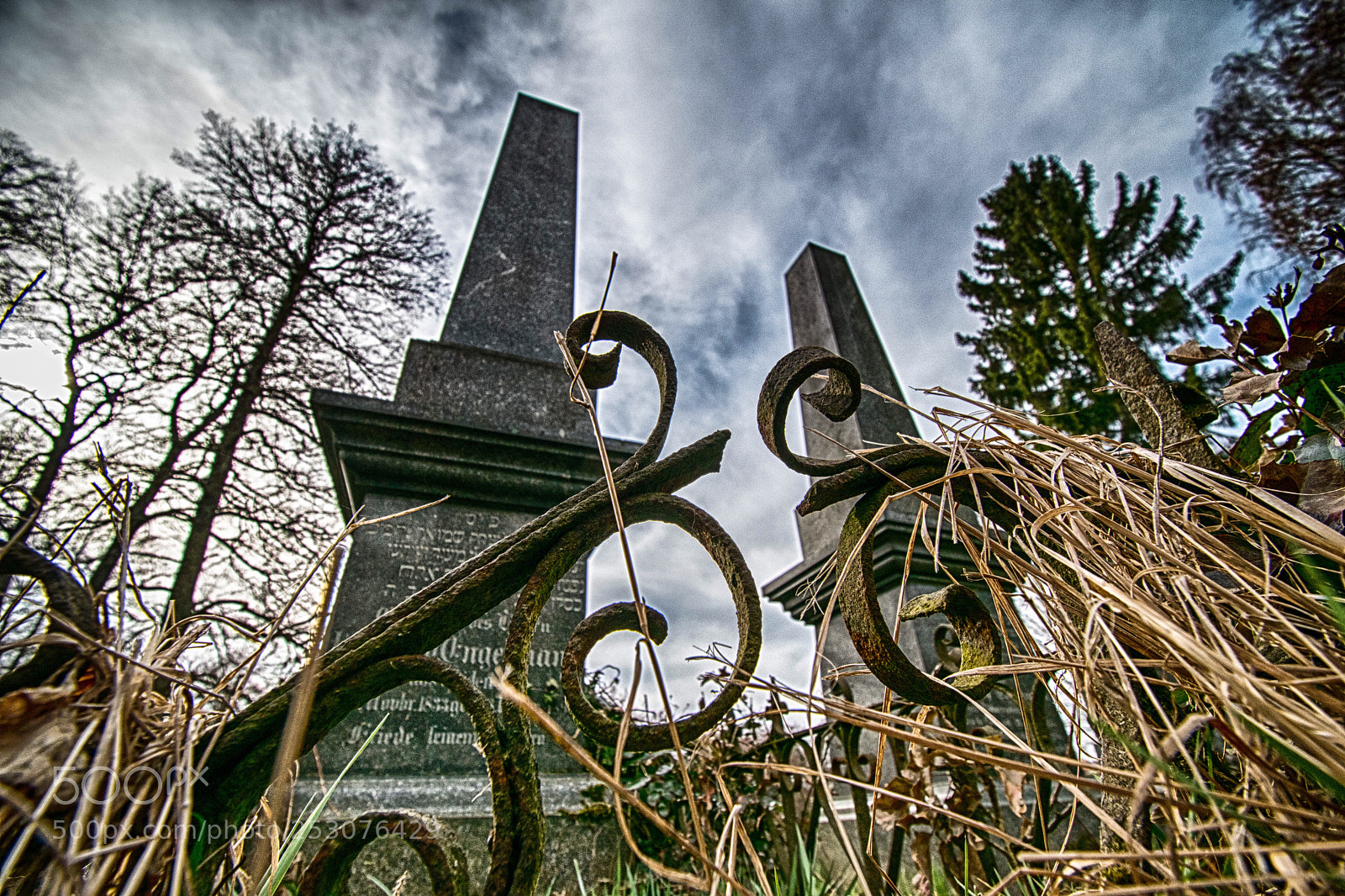 Nikon D5500 sample photo. Grave... photography