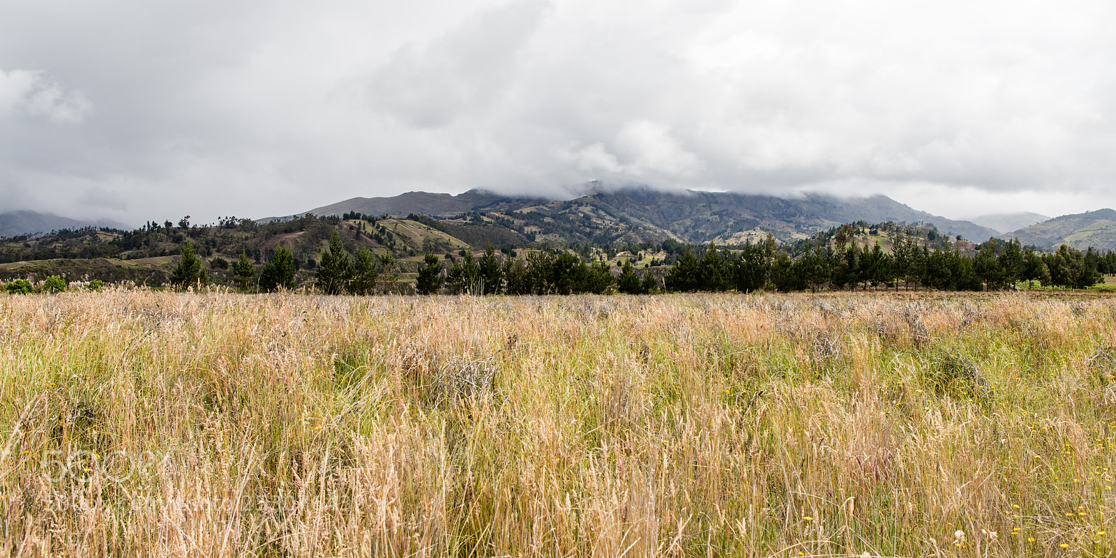 Canon EOS 6D Mark II sample photo. Chugchilán, ecuador photography