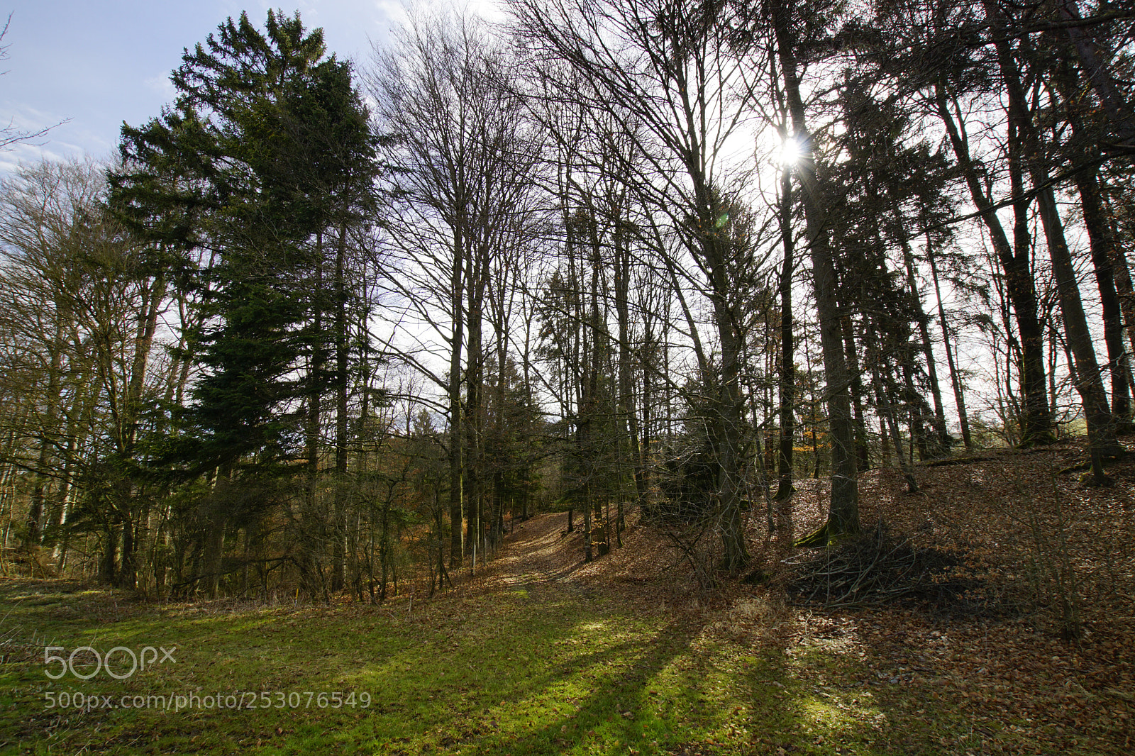 Sony ILCA-77M2 sample photo. Untitled photography