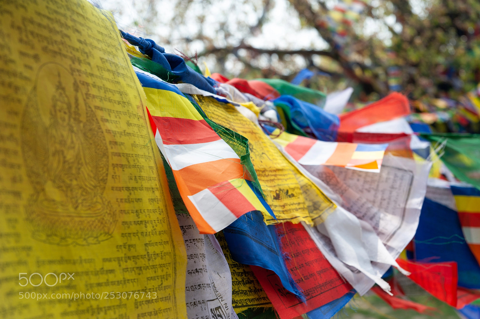 Nikon D700 sample photo. Prayer flags at buddha's photography