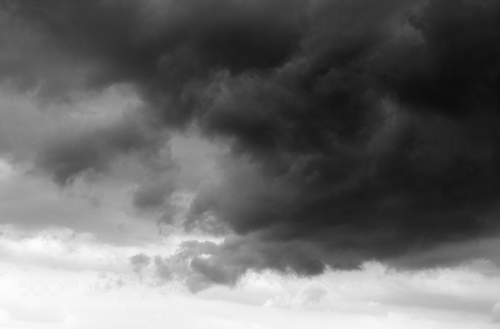 Canon EOS 600D (Rebel EOS T3i / EOS Kiss X5) sample photo. Darknature photography